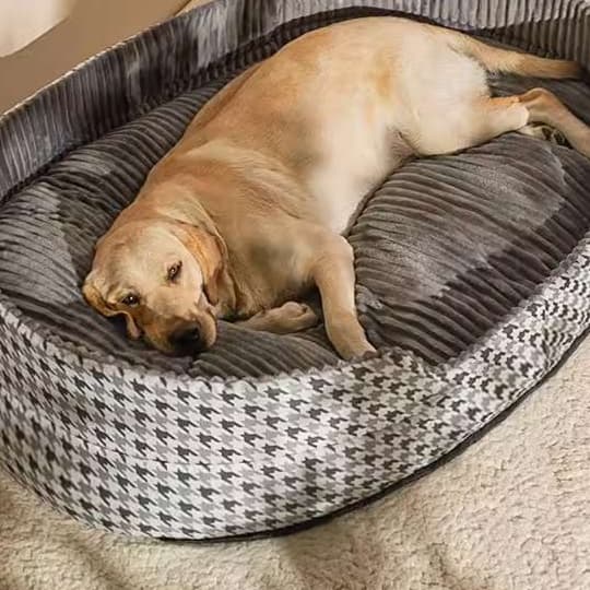 犬ベッド 高級感漂うラウンペットベッド