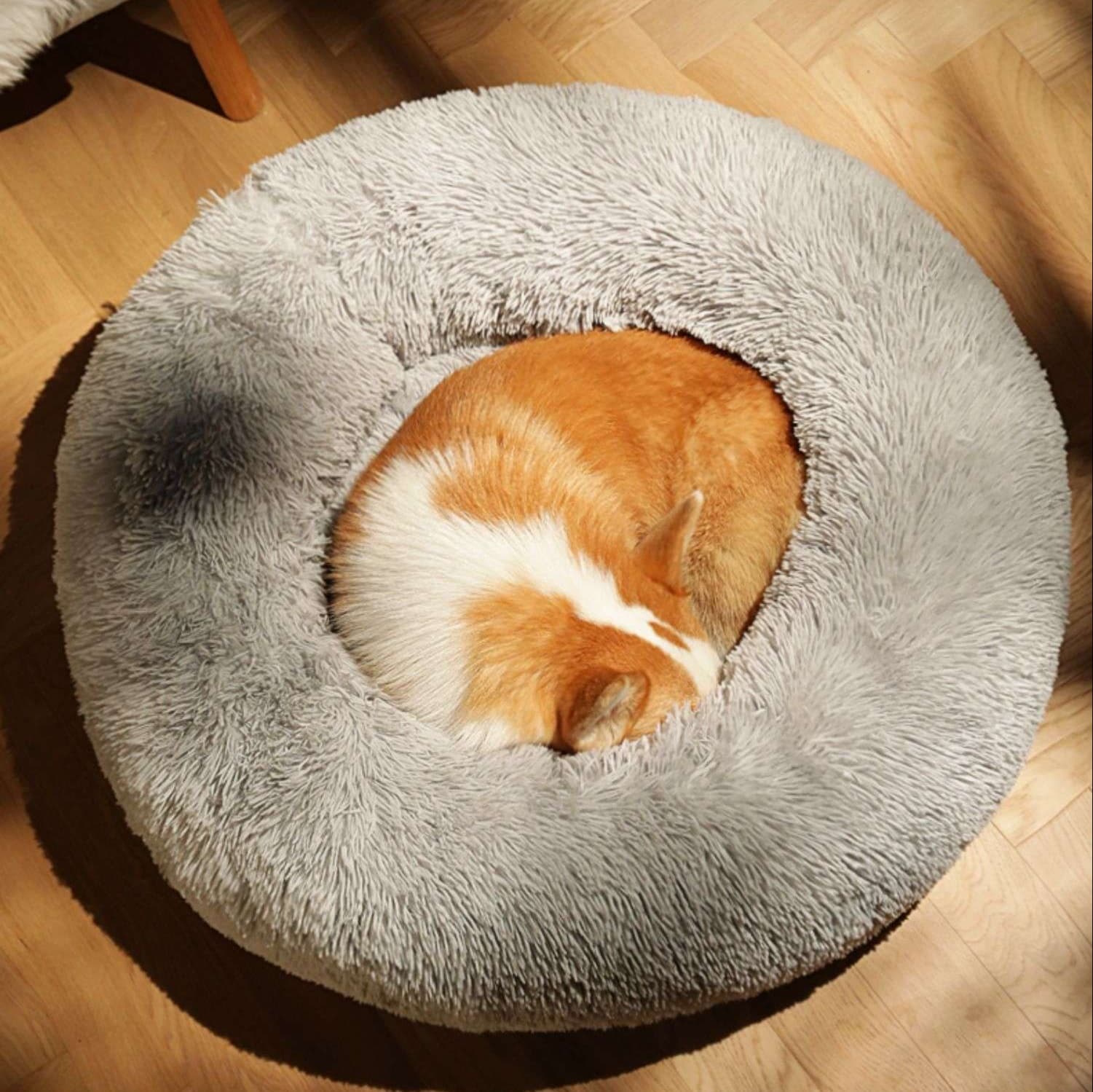 犬ベッド もこもこ丸型ペットベッド