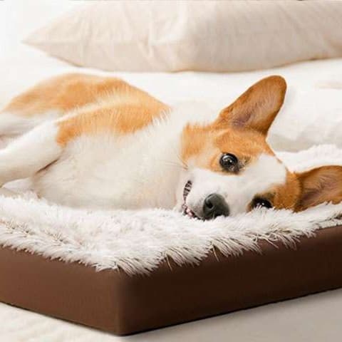 犬ベッド ふわもこペット寝心地ベッド