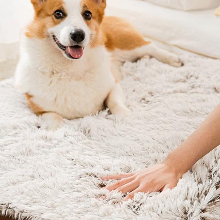 犬ベッド ふわもこペット寝心地ベッド