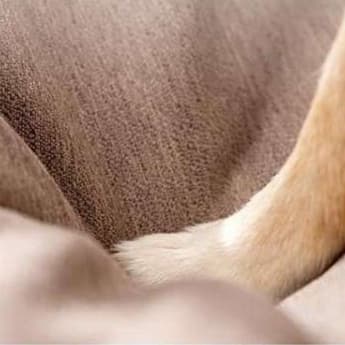 犬ベッド ふわもこ至福の雲ベッド