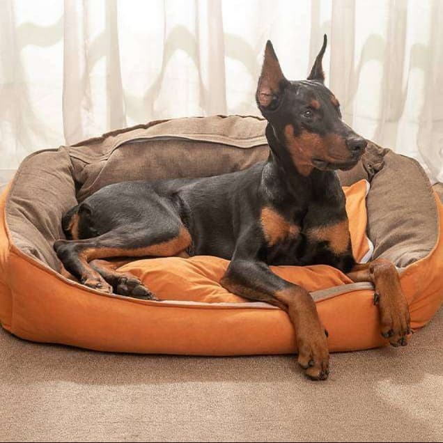 犬ベッド 四季対応 快適ペットベッド