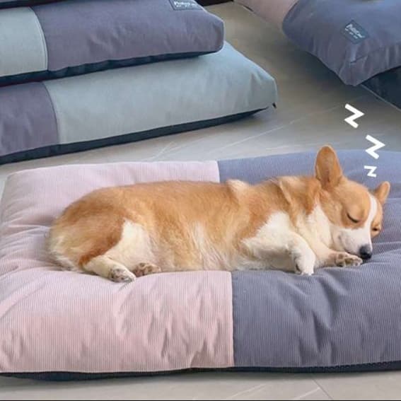 犬ベッド ふわもこペットクッション