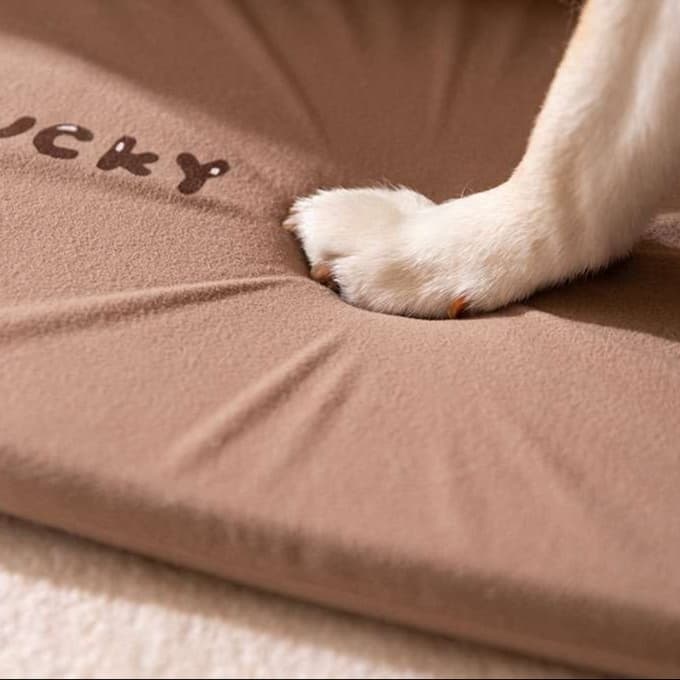 犬ベッド 冬のぬくぬく犬ハウス