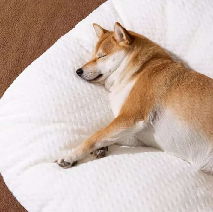 犬ベッド ふわもこランドベッド