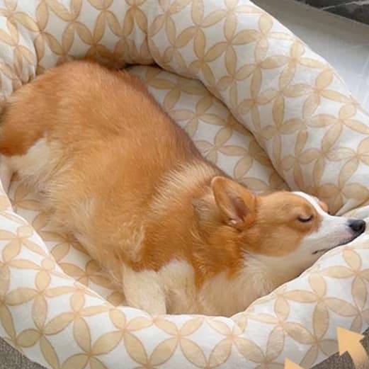 犬ベッド ふかふか大空間ペットベッド