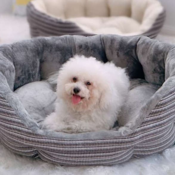 犬ベッド ふかふか円形ペットベッド
