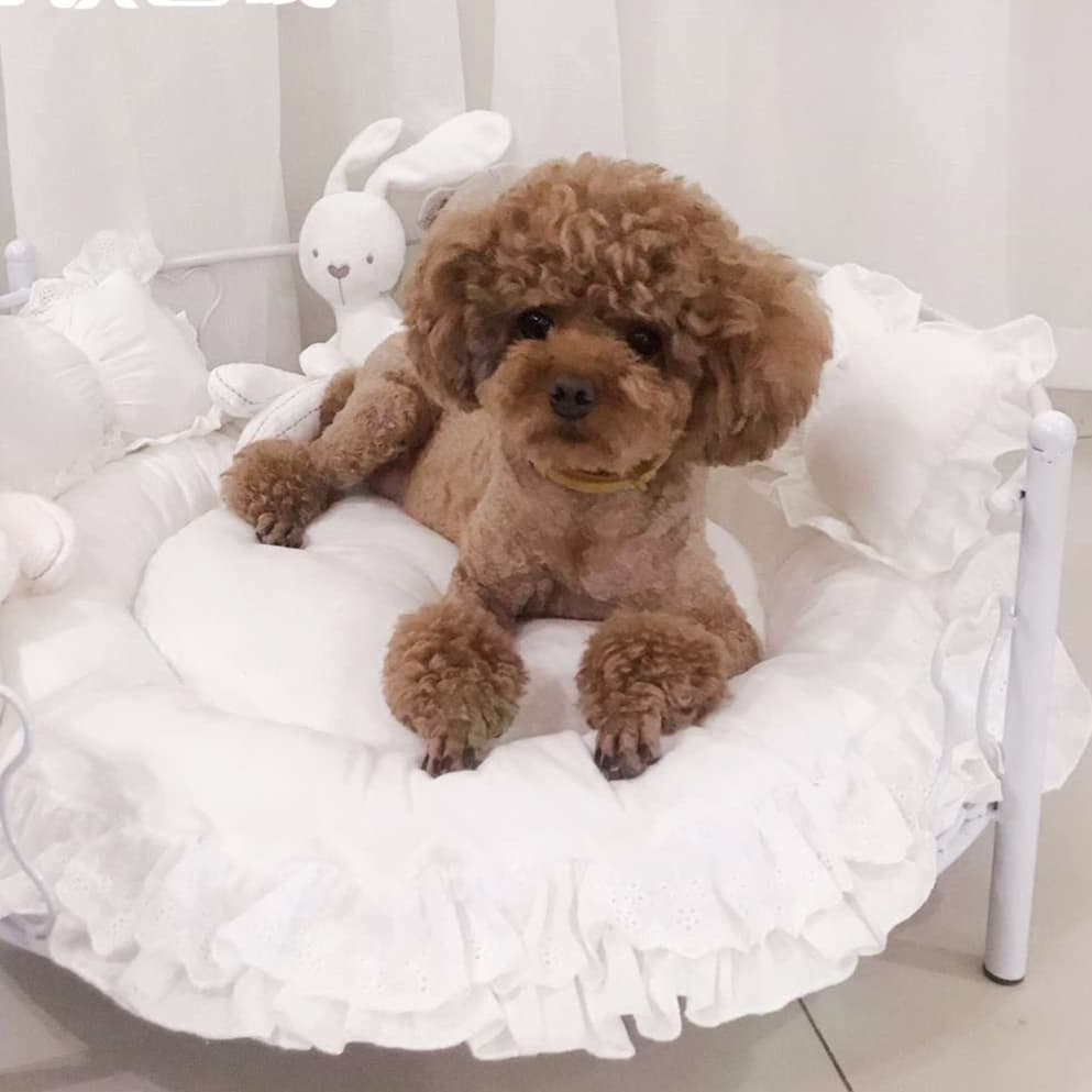 犬ベッド ふわふわリボン付きペットクッション