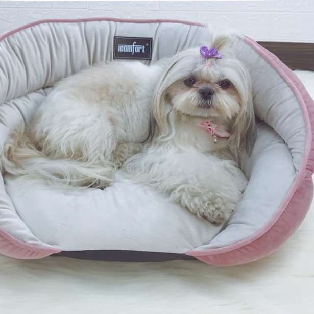 犬ベッド ふわふわ贅沢ペットソファー