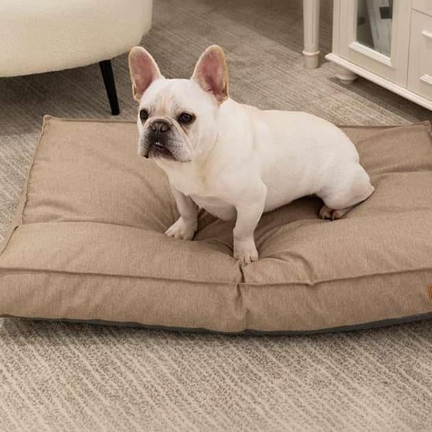 犬ベッド　ラグジュアリークッション