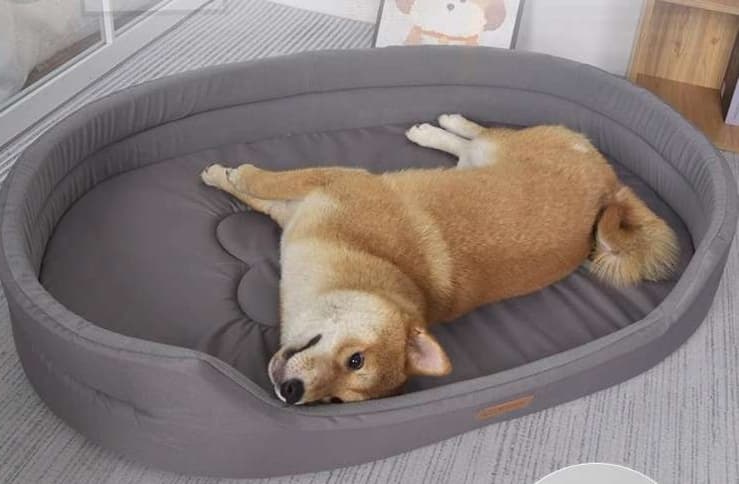 犬ベッド ワンちゃんの極上リラックスベッド