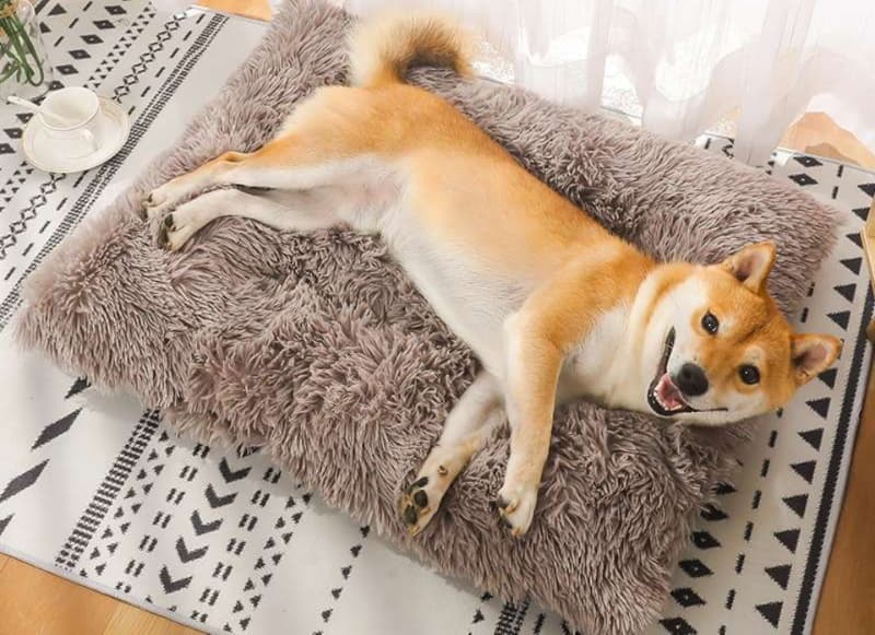 犬ベッド ふわもこペット用あったかマット