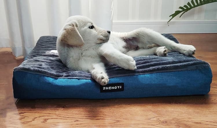 犬ベッド 洗える極上ふかふかペット用マット