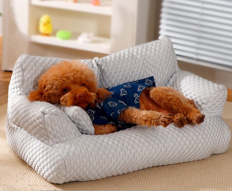 犬ベッド もちもち触感ペットクッション