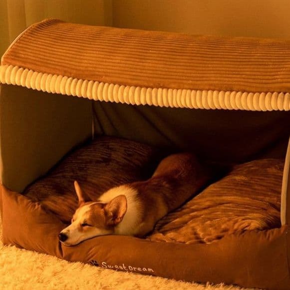犬ベッドドーム型 半密閉型屋根付き犬用ハウスベッド