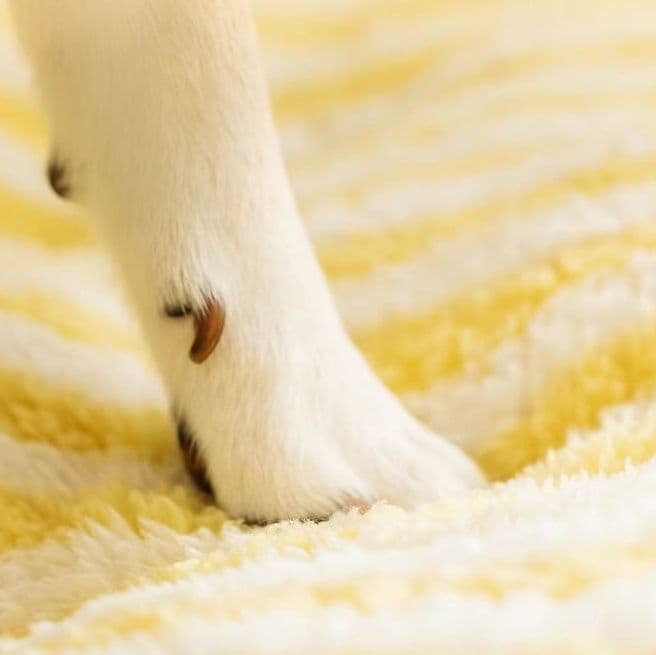 犬ベッドドーム型 愛犬の隠れ家ふんわり柔らかドーム型ハウス