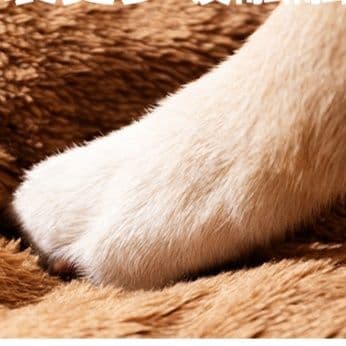 犬ベッド ドーム型小屋風ふわふわ包み込み犬ベッド 