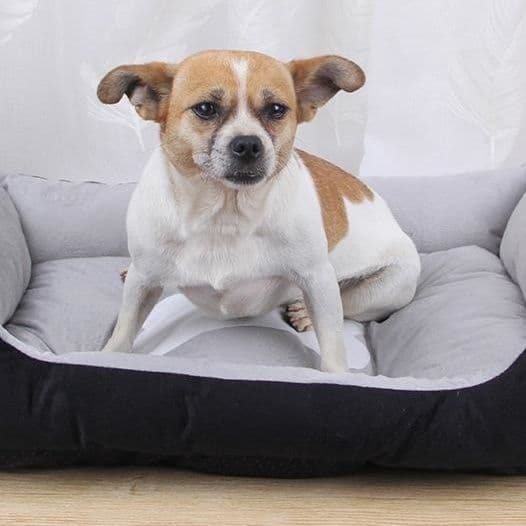 犬ベッドクッション 骨型枕付き藤織り中敷き四角型犬ベッド