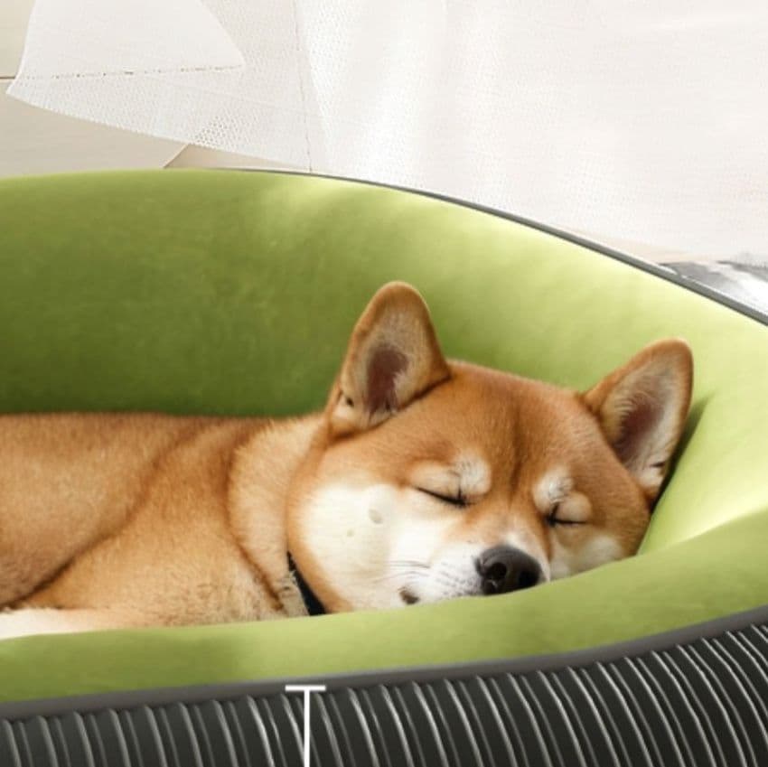 犬ベッドクッション 厚手立体縫製ふちつき洗える犬用ベッド