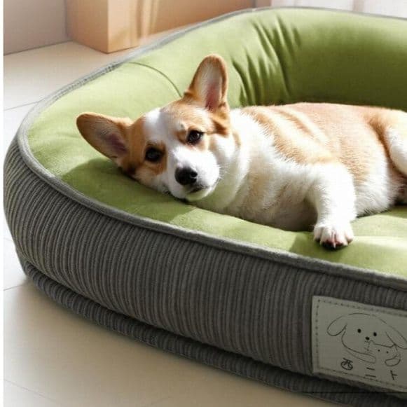 犬ベッドクッション 厚手立体縫製ふちつき洗える犬用ベッド