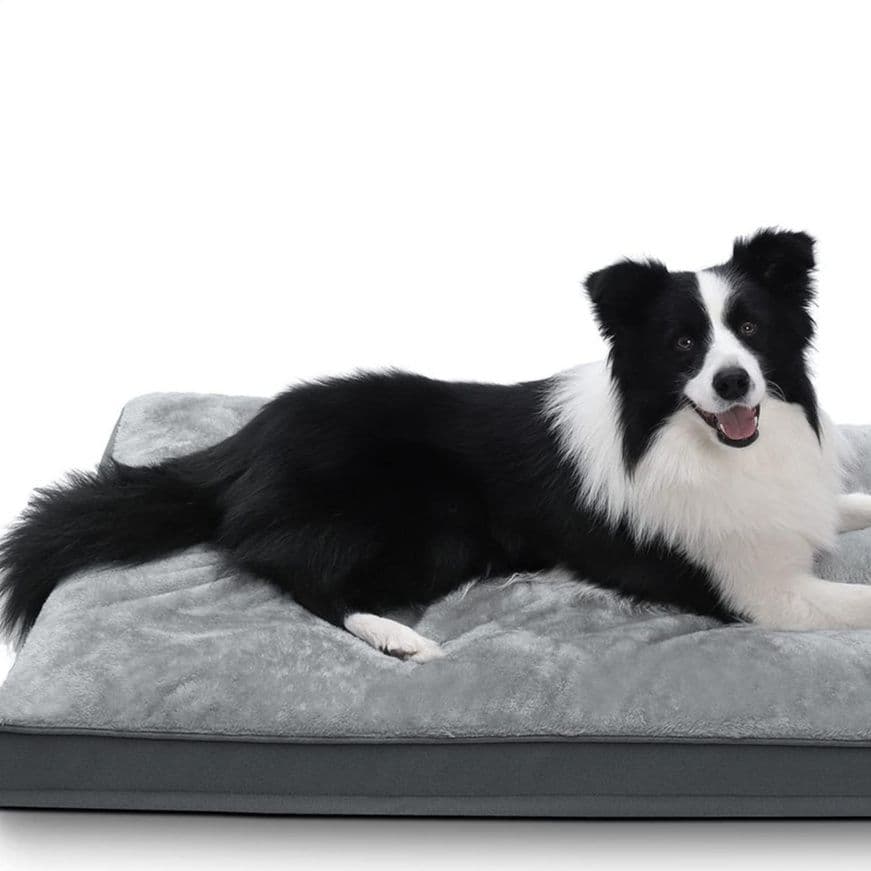 犬ベッド 低反発ウレタン二層構造マットタイプ犬用寝具