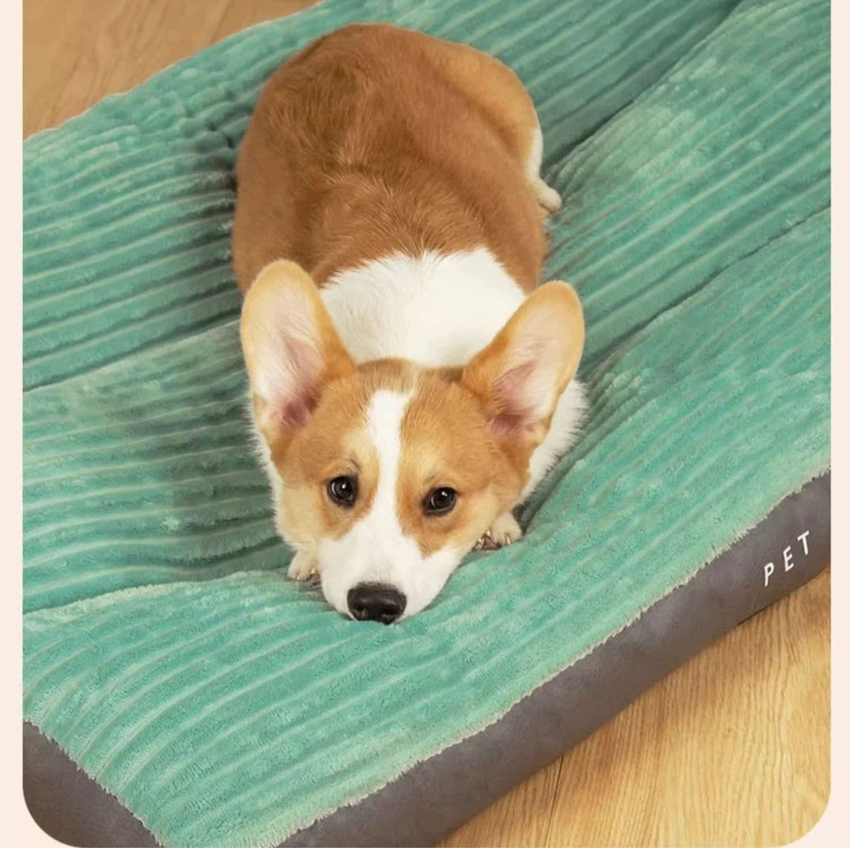 犬ベッド 超大型犬対応ゆったりサイズの犬ベッド用クッション