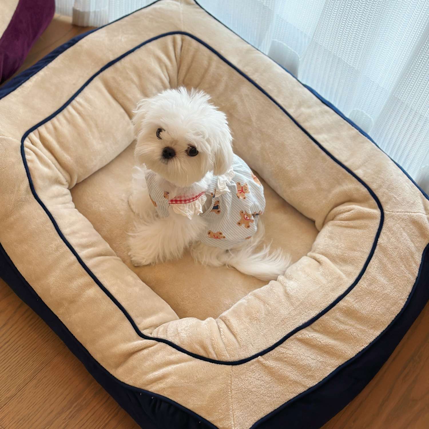 犬ベッド ふかふか小型犬用ベッド