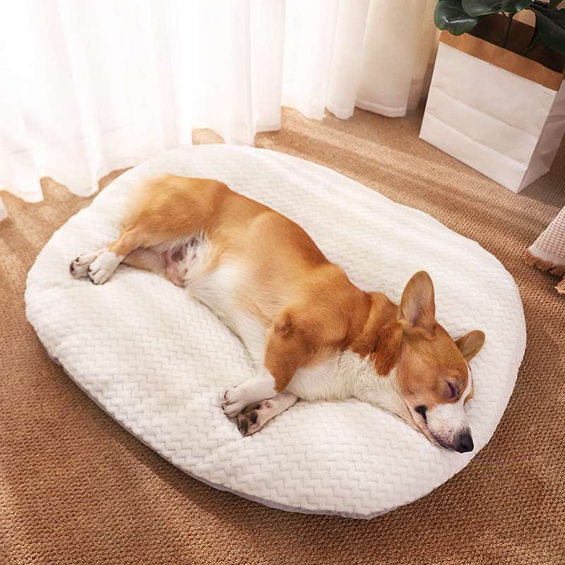 ふわもこ四季犬ベッド