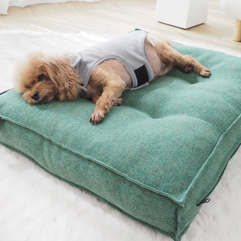 犬ベッド ふんわり快適 ペットクッション