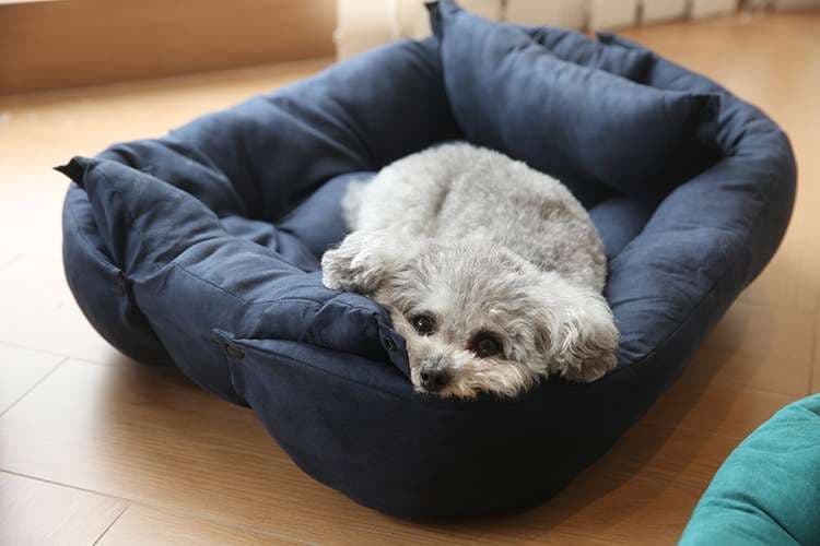 犬ベッド ふわもこペットベッド