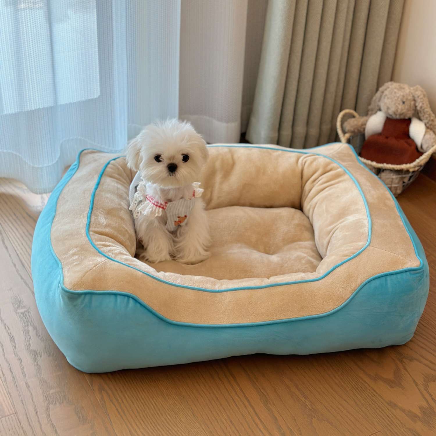 犬ベッド ふかふか小型犬用ベッド