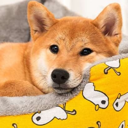 犬ベッド ふわもこペット安眠ベッド