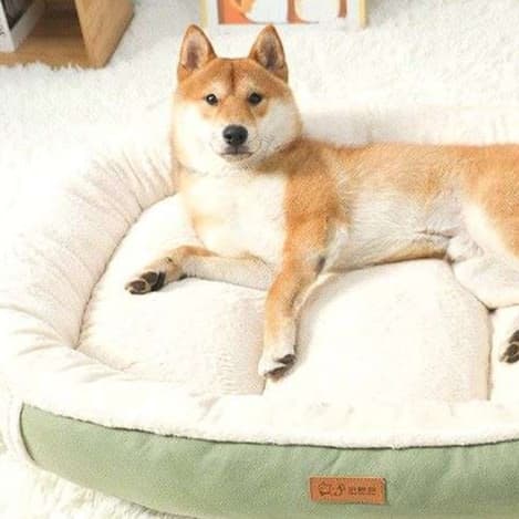 犬ベッド ふわもこ巣ごもりベッド