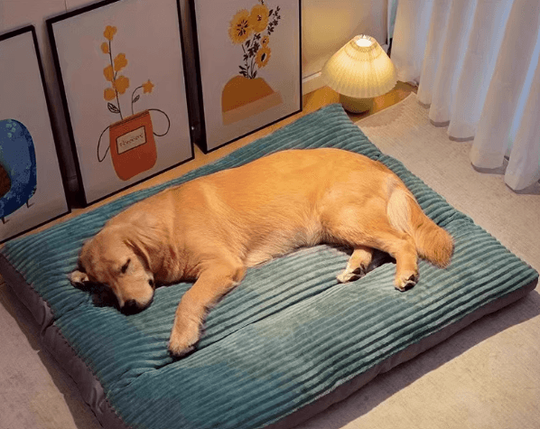 犬ベッド ふわもこ極上ペットベッド
