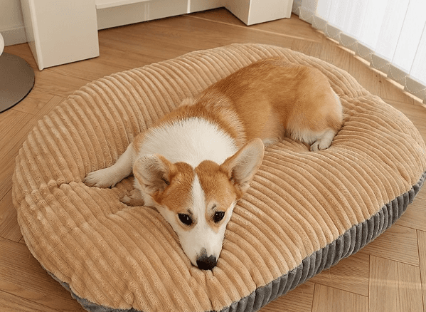 ふわもこ四季犬ベッド