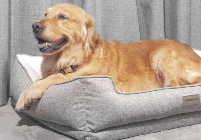 犬ベッド やすらぎの ラテックス製高級ベッド