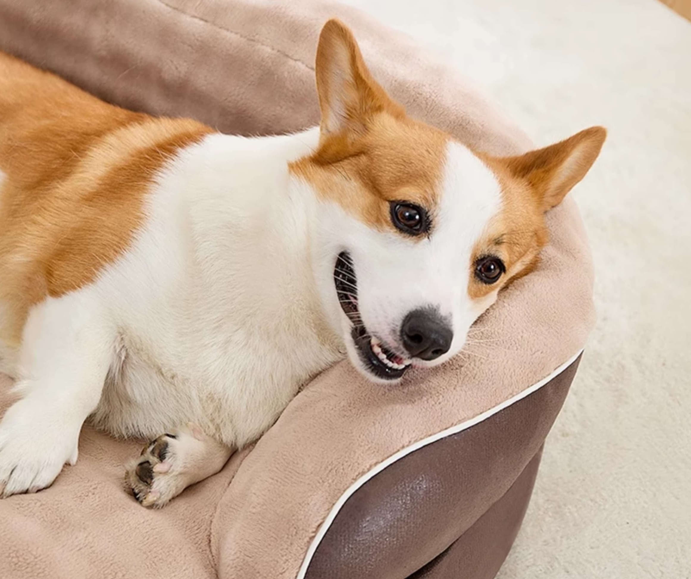 犬ベッド ふんわり包み込む 極上の寝心地 犬用クッション