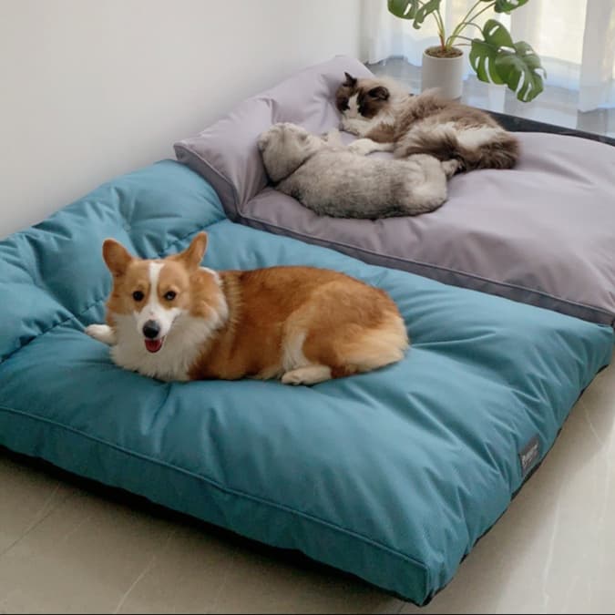 犬ベッド ふかふか極上ペット寝具