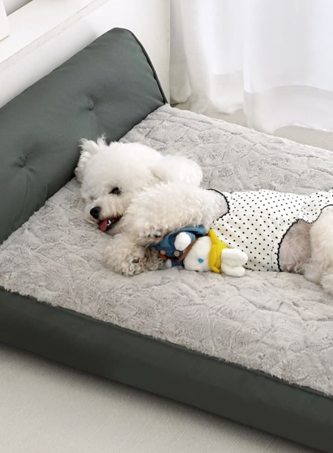 ふかふか犬ベッド