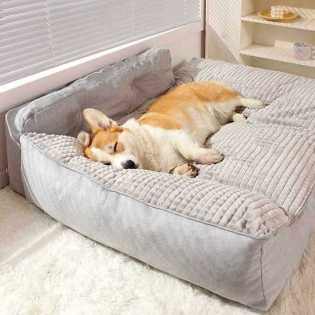 犬ベッドクッション ゆったり寝転べる背もたれ付き大型犬用長方形クッション
