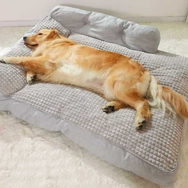 犬ベッドクッション ゆったり寝転べる背もたれ付き大型犬用長方形クッション